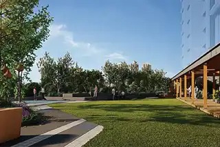 Partylawn